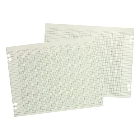 Wilson Jones Accounting Sht, 10Clmn, 9-1/4x11-7/8, PK100 WG10-10AA